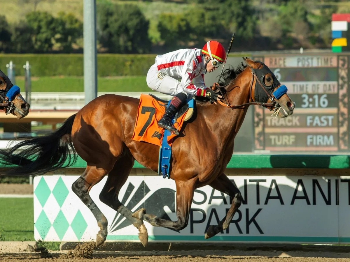 #11 Potente | 50 pts 