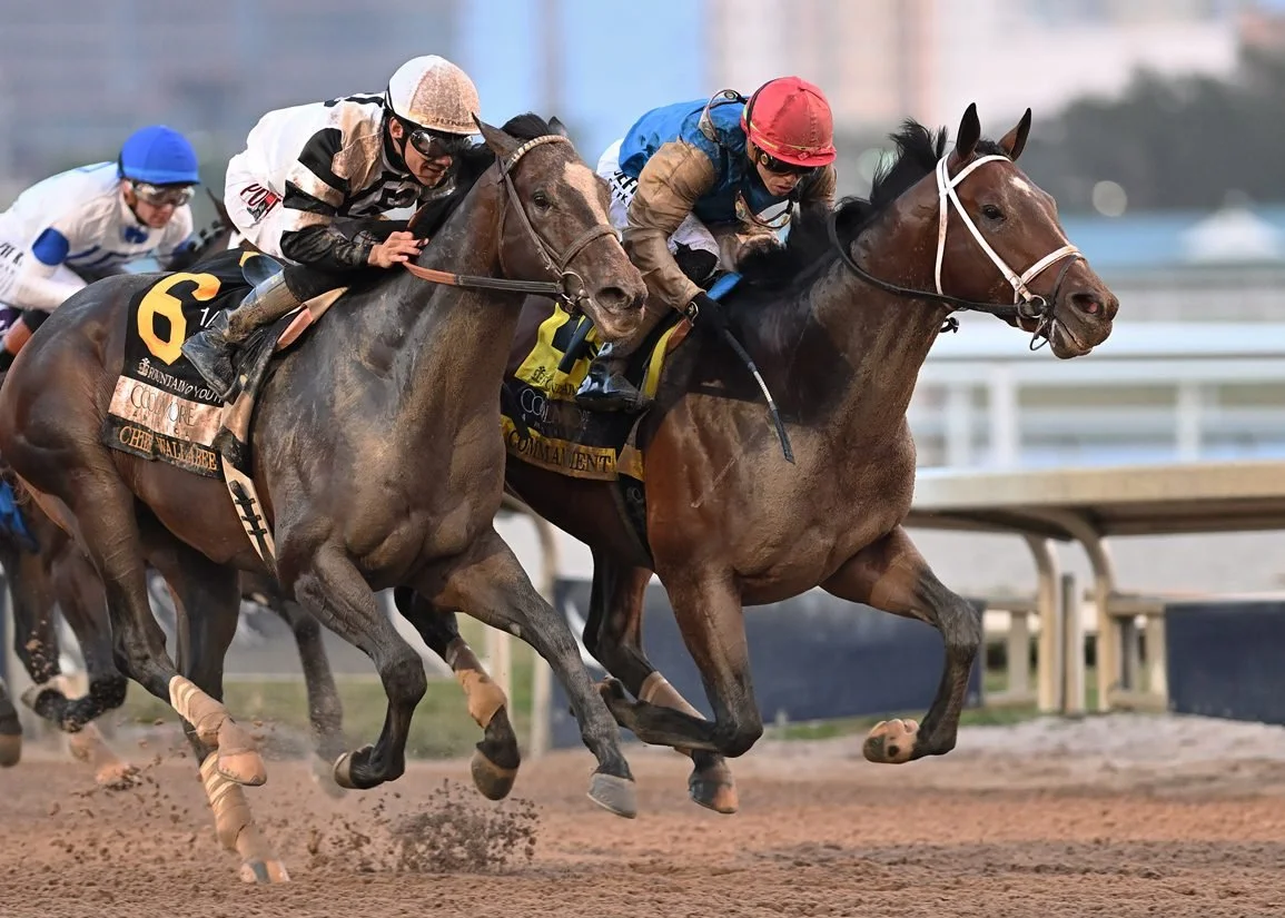 Kentucky Derby 2026 Contenders, Sleepers &amp; Overhyped Horses Before Final Prep Races