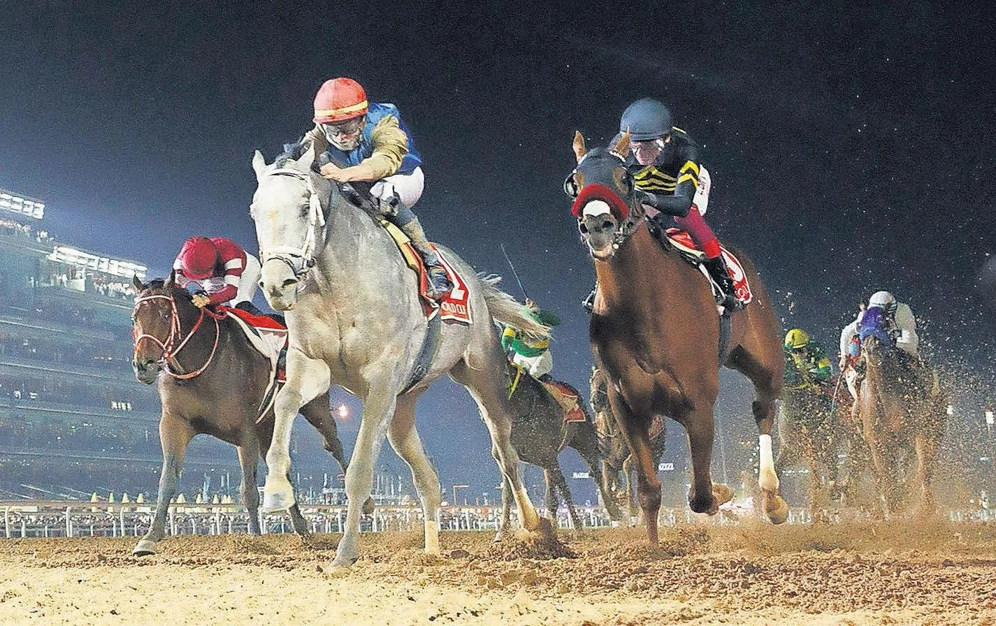 Dubai World Cup 2026: Full Field Analysis and Top Picks