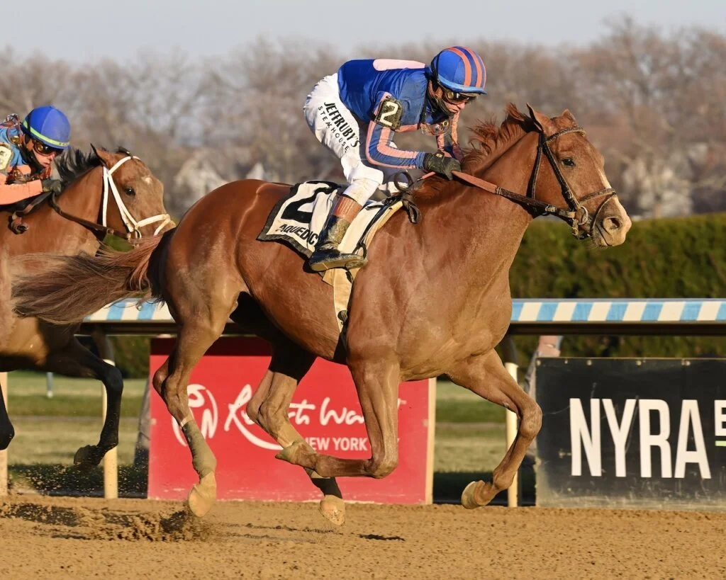 Paladin Scratched from Blue Grass Stakes: Early Derby Favorite Off the Trail with Injury