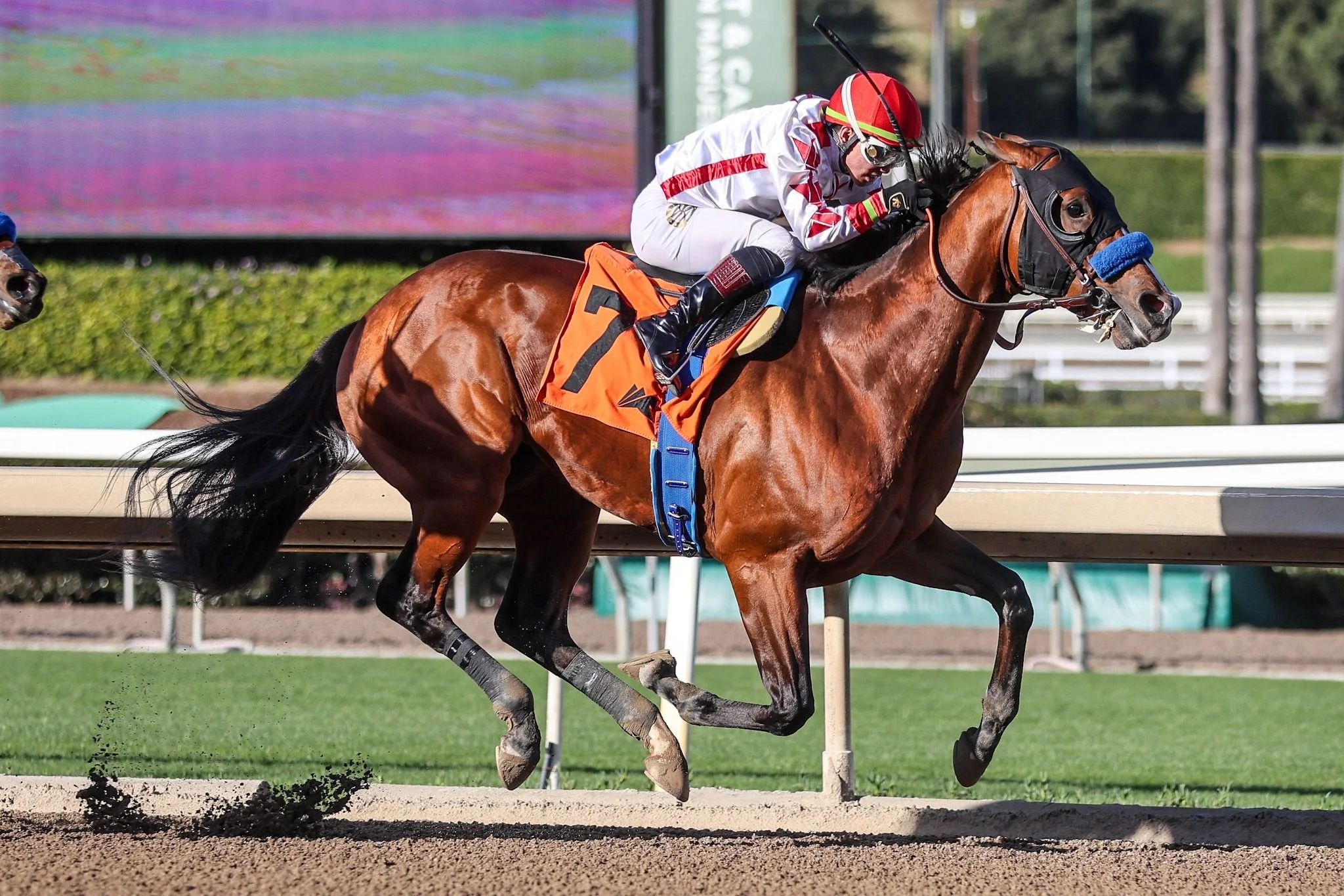 2026 Santa Anita Derby Preview,  &amp; Picks | Can Potente Stay Undefeated?