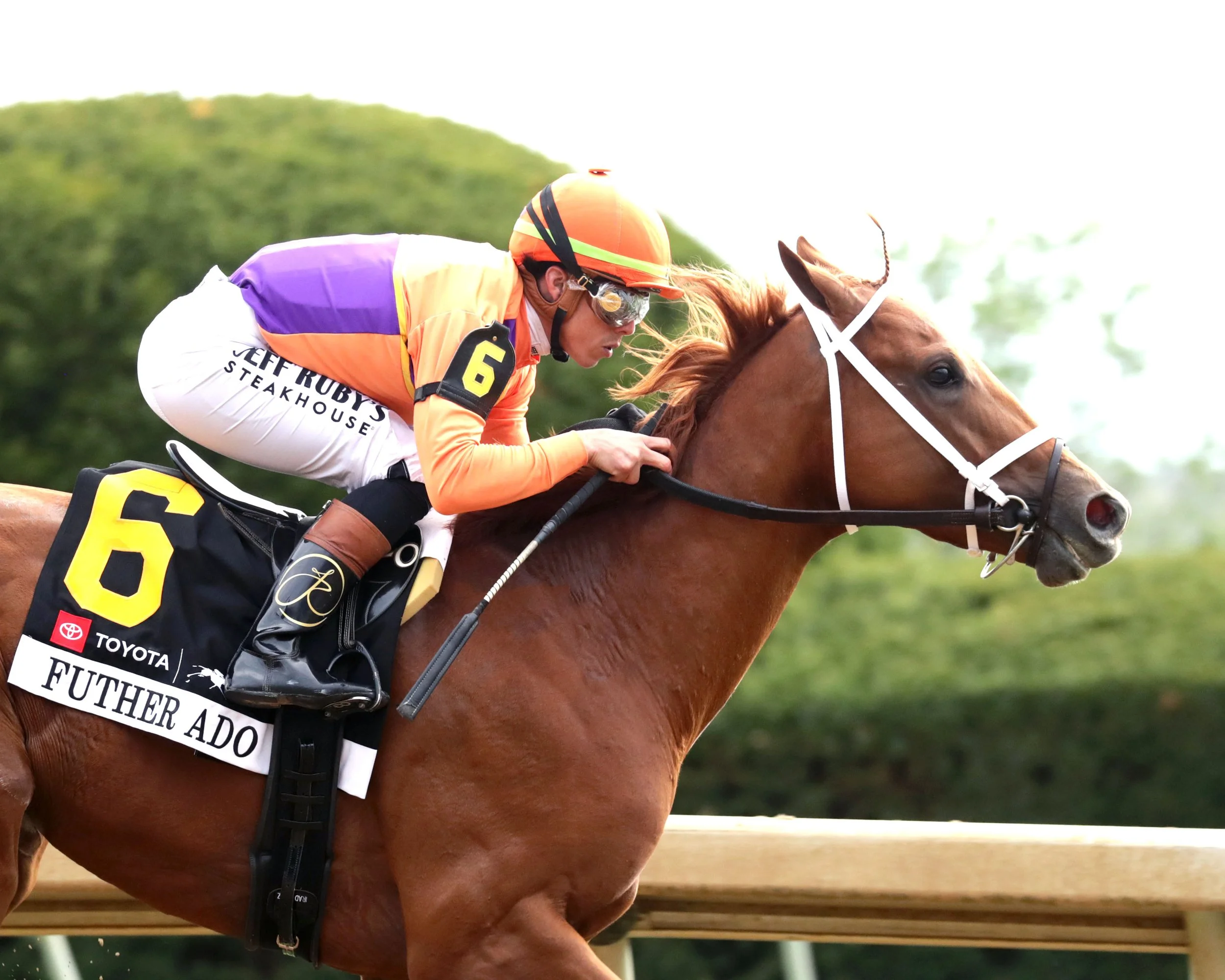 2026 Kentucky Derby Prep Recap: Blue Grass, Wood Memorial &amp; Santa Anita Derby