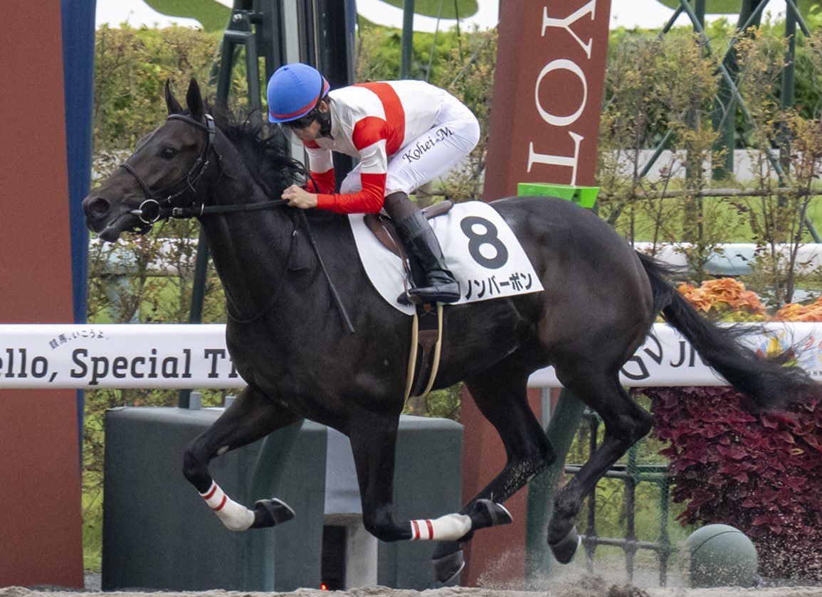 #8 Danon Bourbon