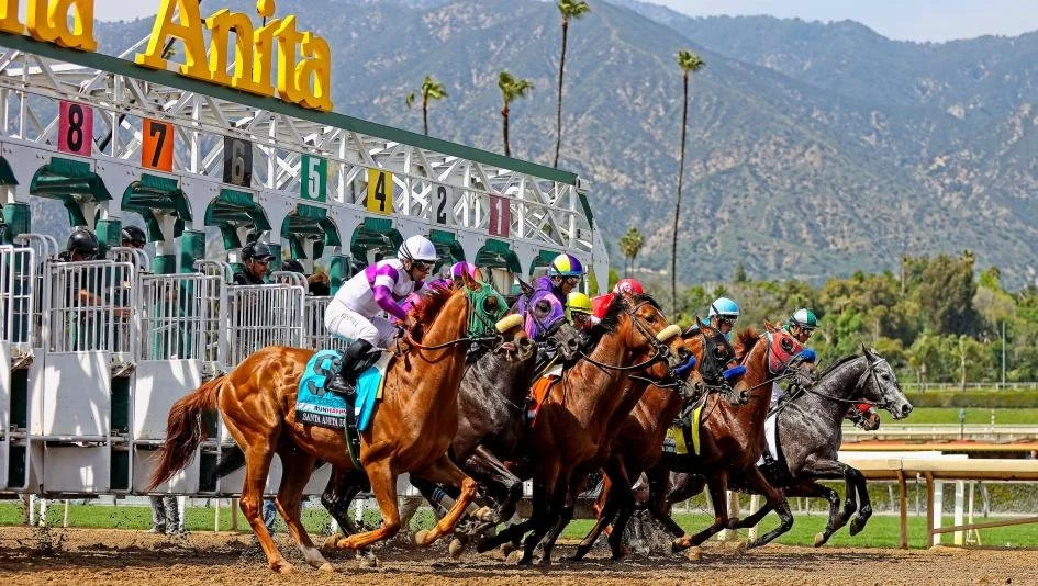 Santa Anita Derby 2026 breakdown and picks