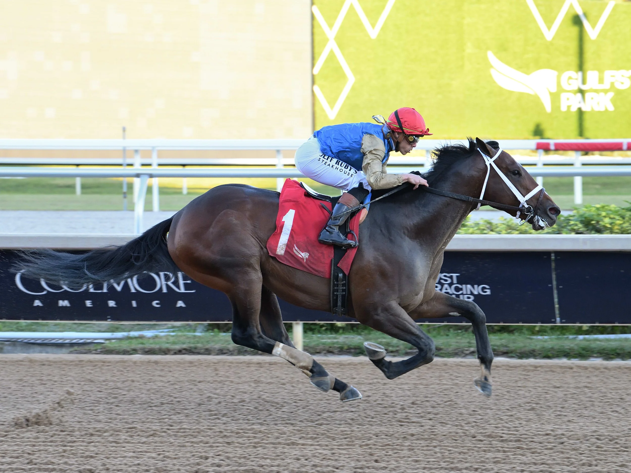 Florida Derby 2026 contenders