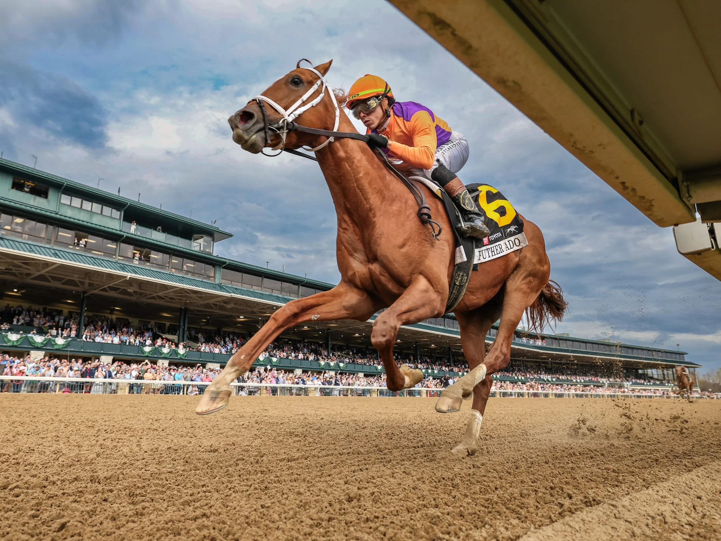 2026 Kentucky Derby contender Further Ado