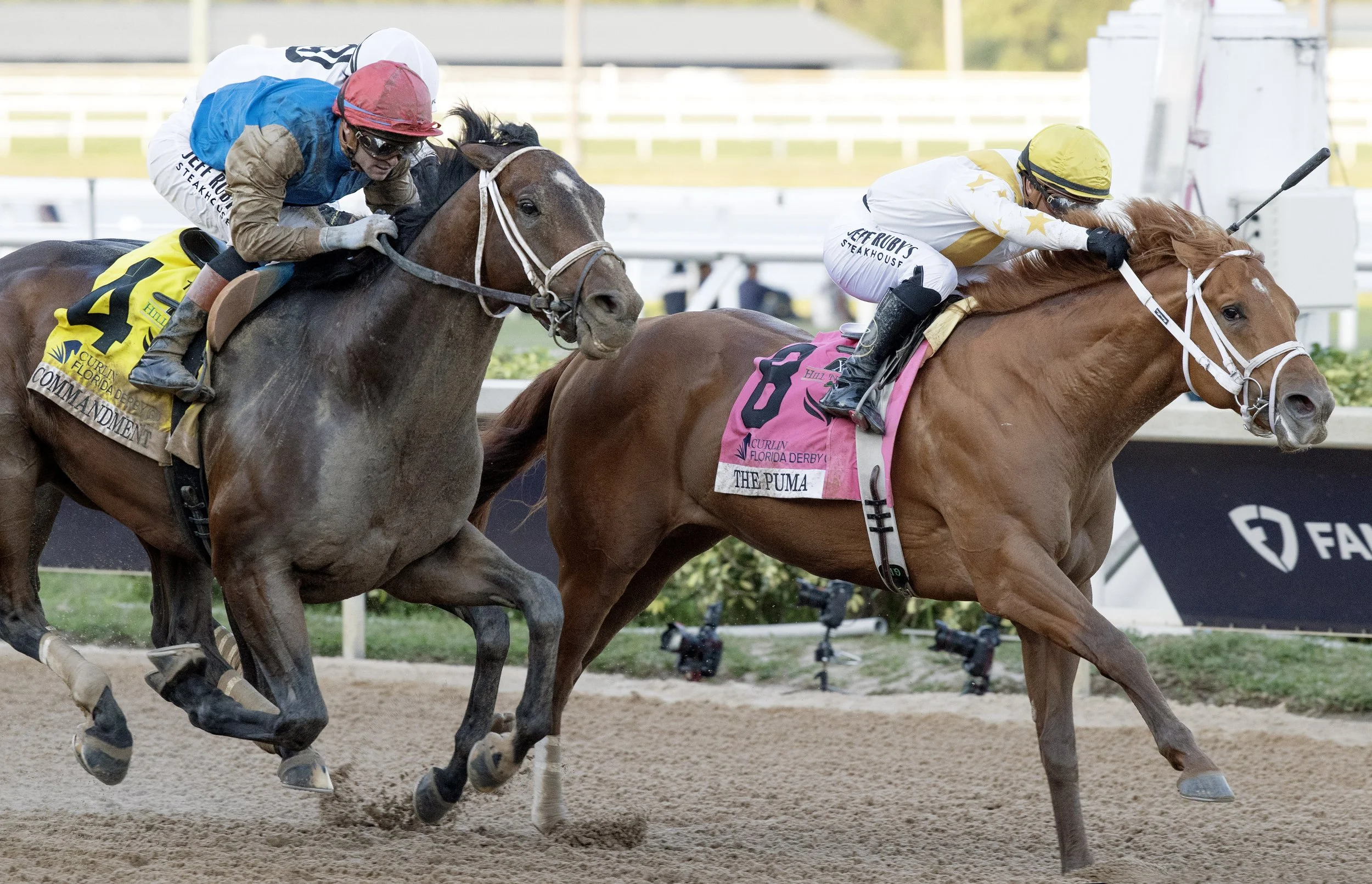 2026 Kentucky Derby Favorite Commandment Top Contender