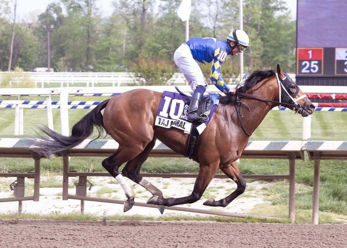 Preakness Stakes local contenders Taj Mahal and The Hell We Did