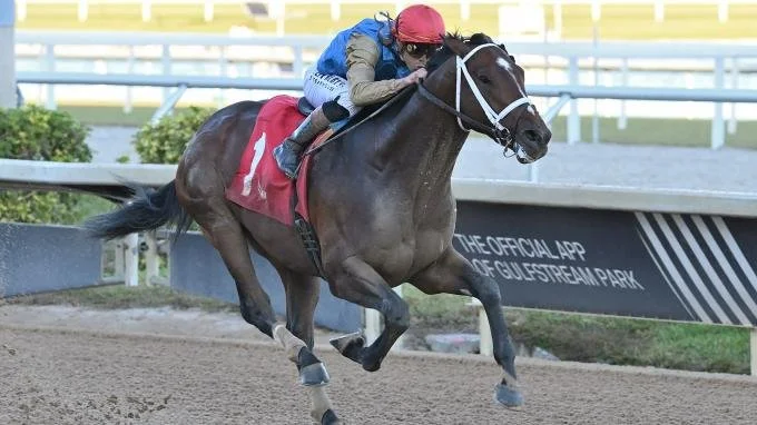 2026 Kentucky Derby pick Commandment