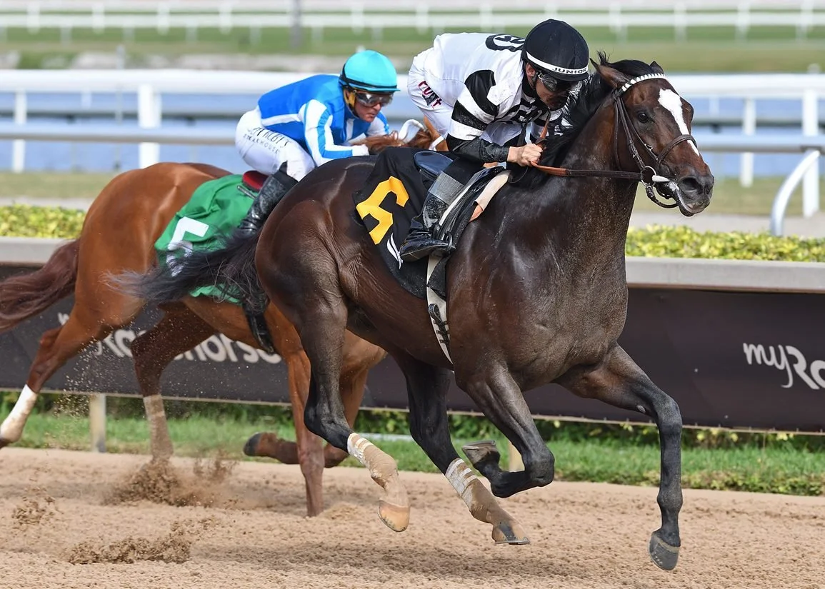 2026 Kentucky Derby Contender Power Rankings Chief Wallabee