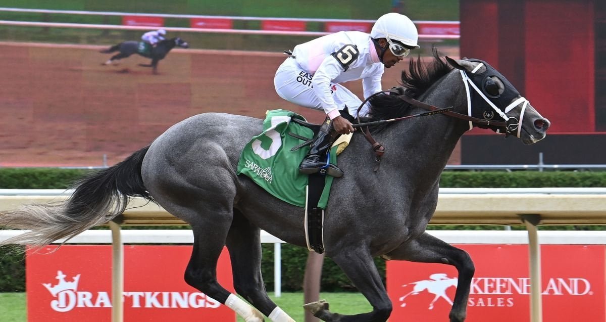 2026 Wood Memorial Picks and Breakdown