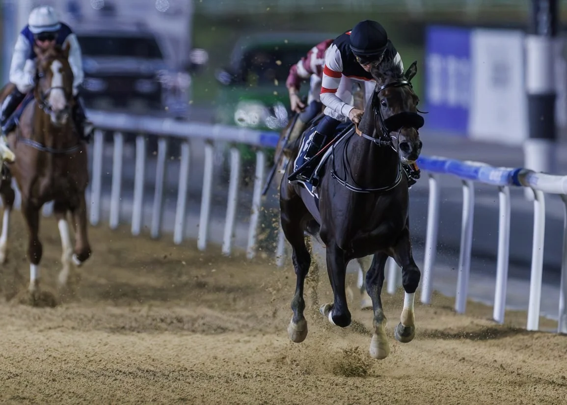 Six Speed international Kentucky Derby contender 2026