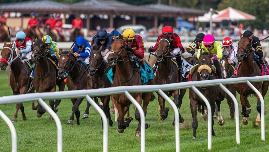 Suburban stakes and Belmont Derby invitational for Saratoga Opening Day picks and bets