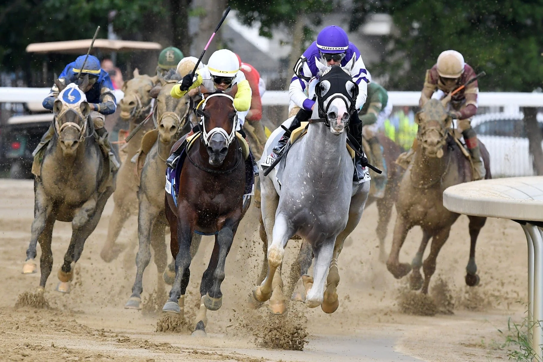 horse racing handicapping keys to win at the races