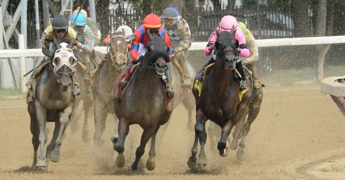 2026 Travers Stakes top Contenders