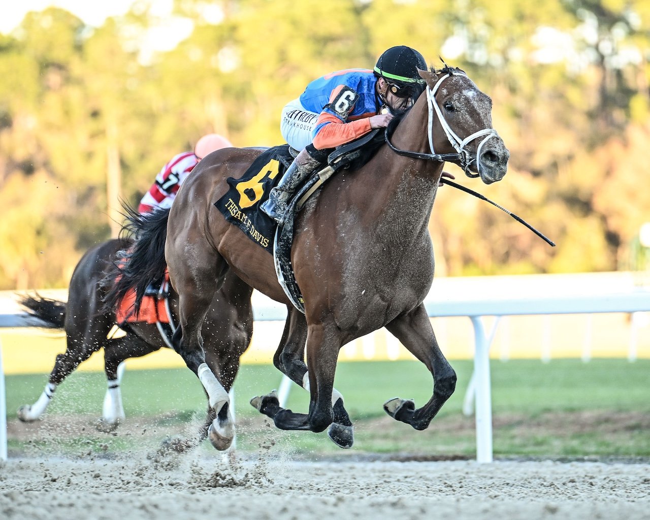 Renegade Travers Stakes contender
