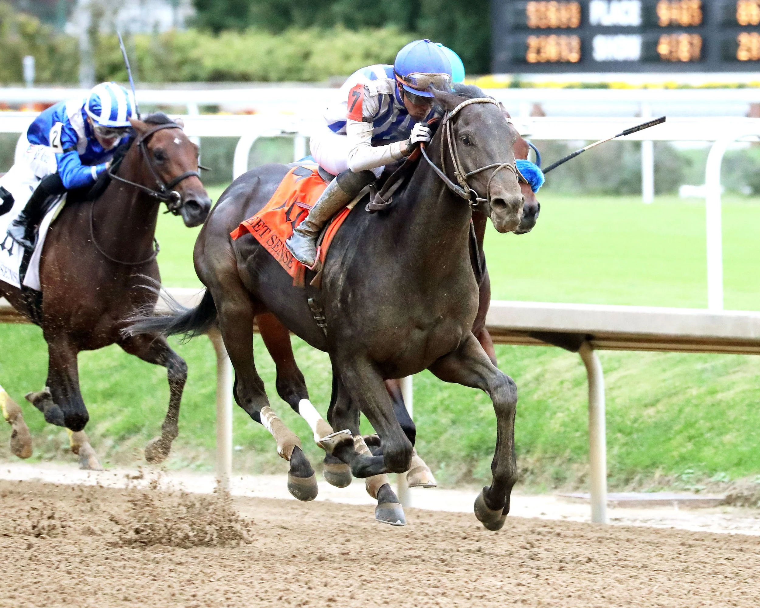 Value play longshot Incredibolt Kentucky Derby contender 2026