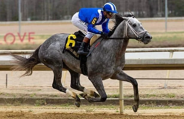 Lexington Stakes Kentucky Derby Points race Picks Ezum contender