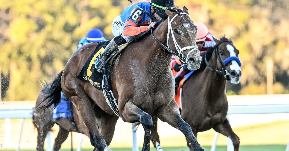 2026 Arkansas Derby contender Renegade