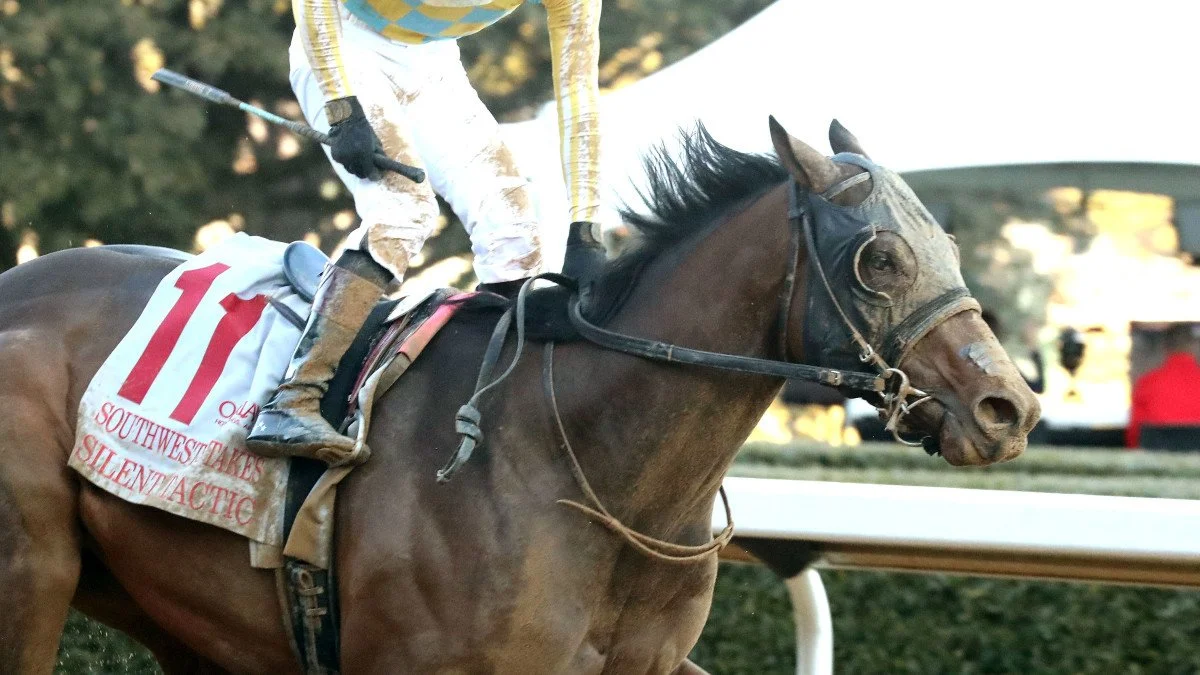 Silent Tactic Kentucky Derby 2026 contender