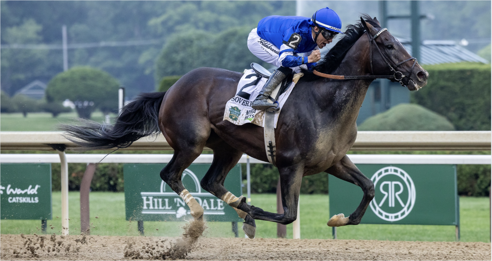 Sovereignty Oaklawn Handicap favorite
