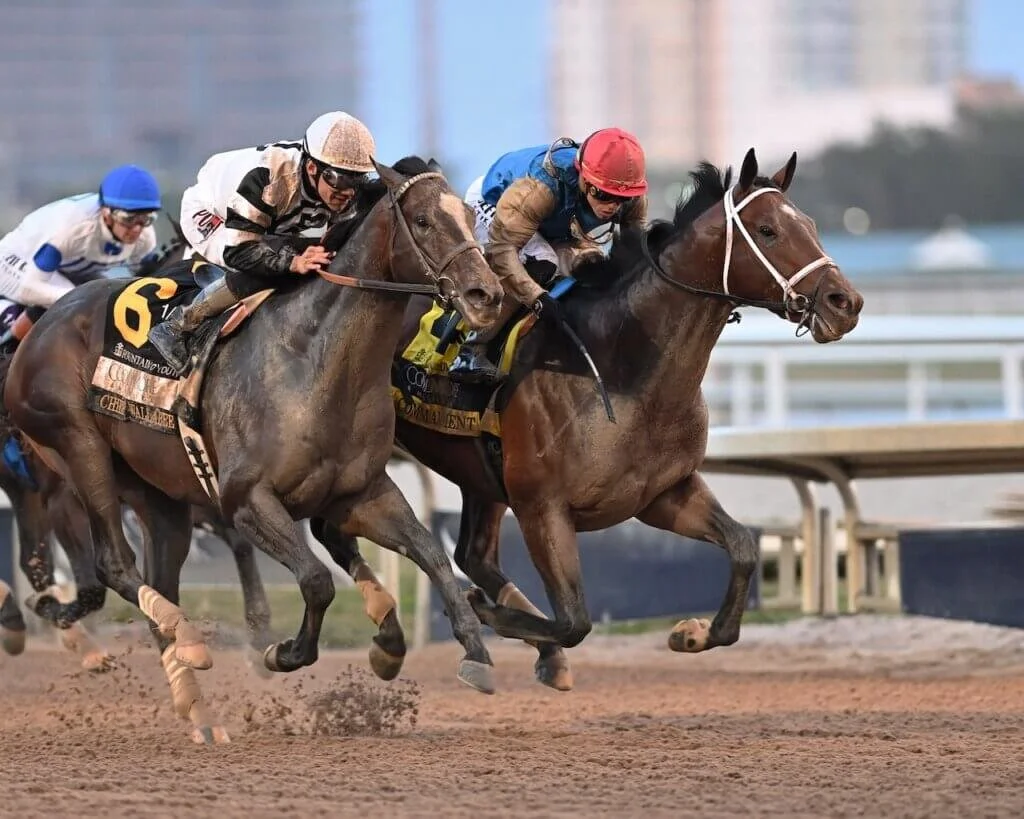 Commandment Travers Stakes 2026 contender