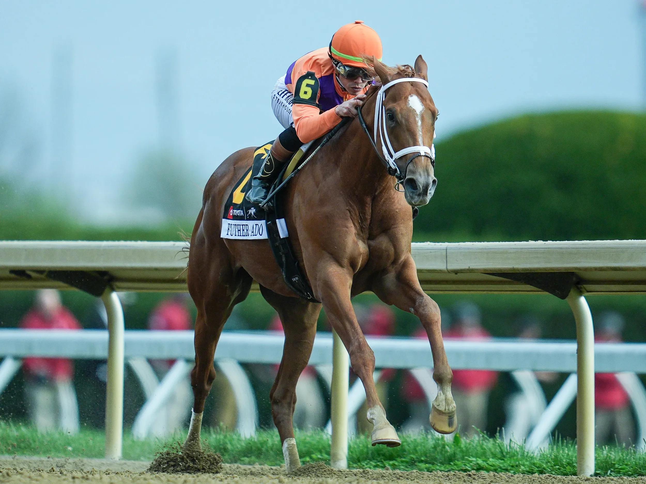 Kentucky Derby 2026 expert picks and best bets