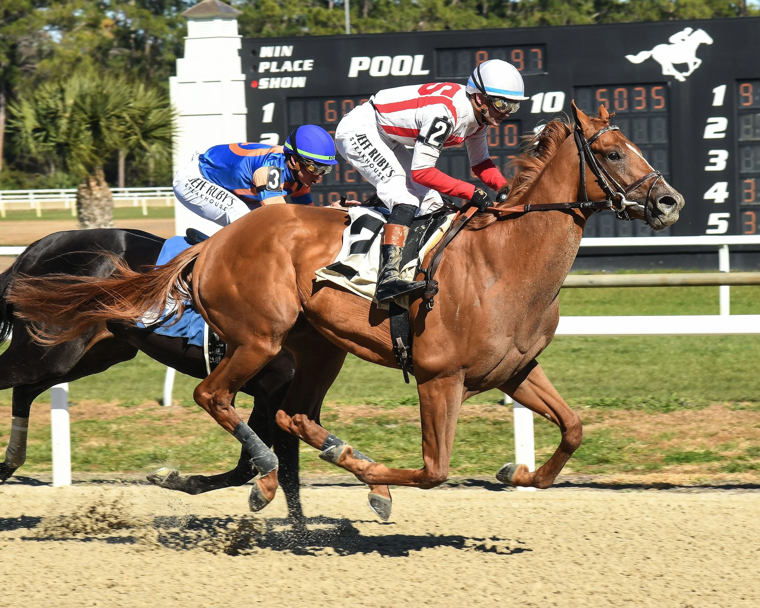 2026 Kentucky Derby winning picks and best bets