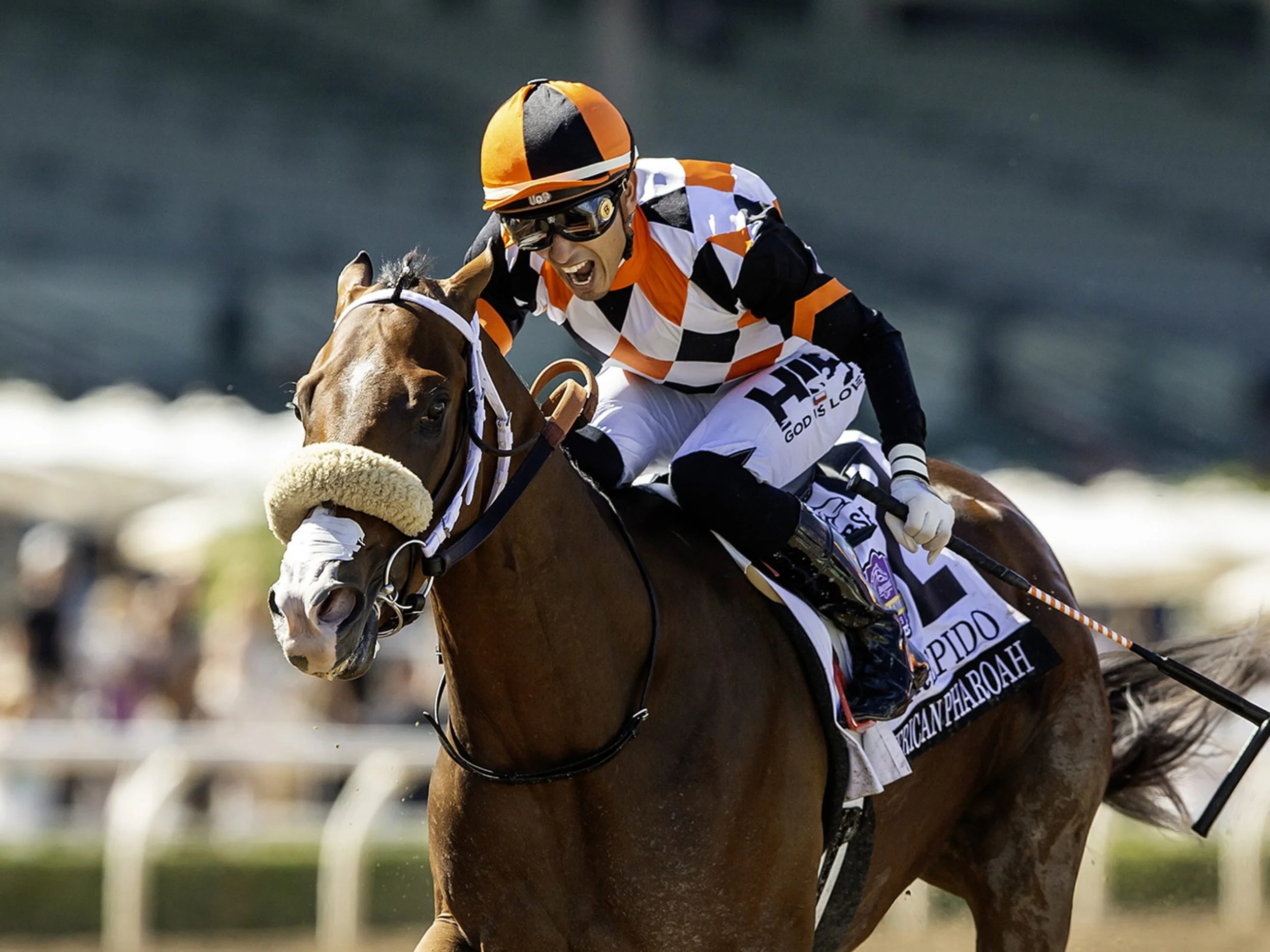 2026 Santa Anita Derby contender Intrepido