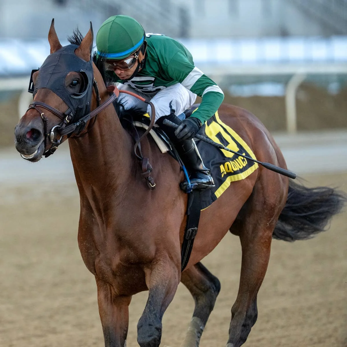 2026 Wood Memorial contenders Iron Honor