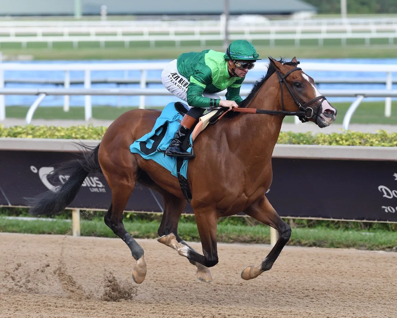 Canaletto scratched from 2026 Kentucky Derby trail