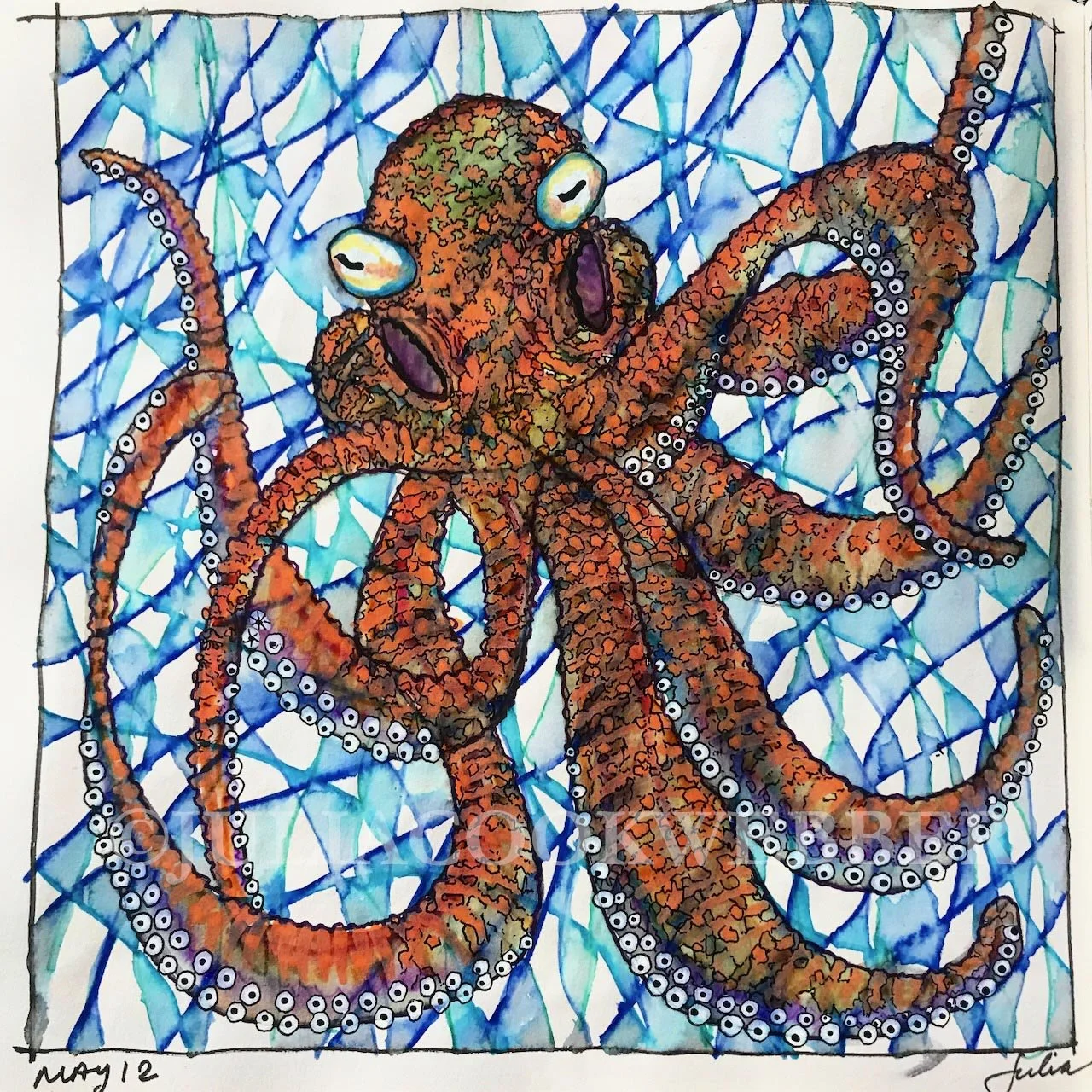 JWEBBER OCTOPUSsb WEBwm.jpg