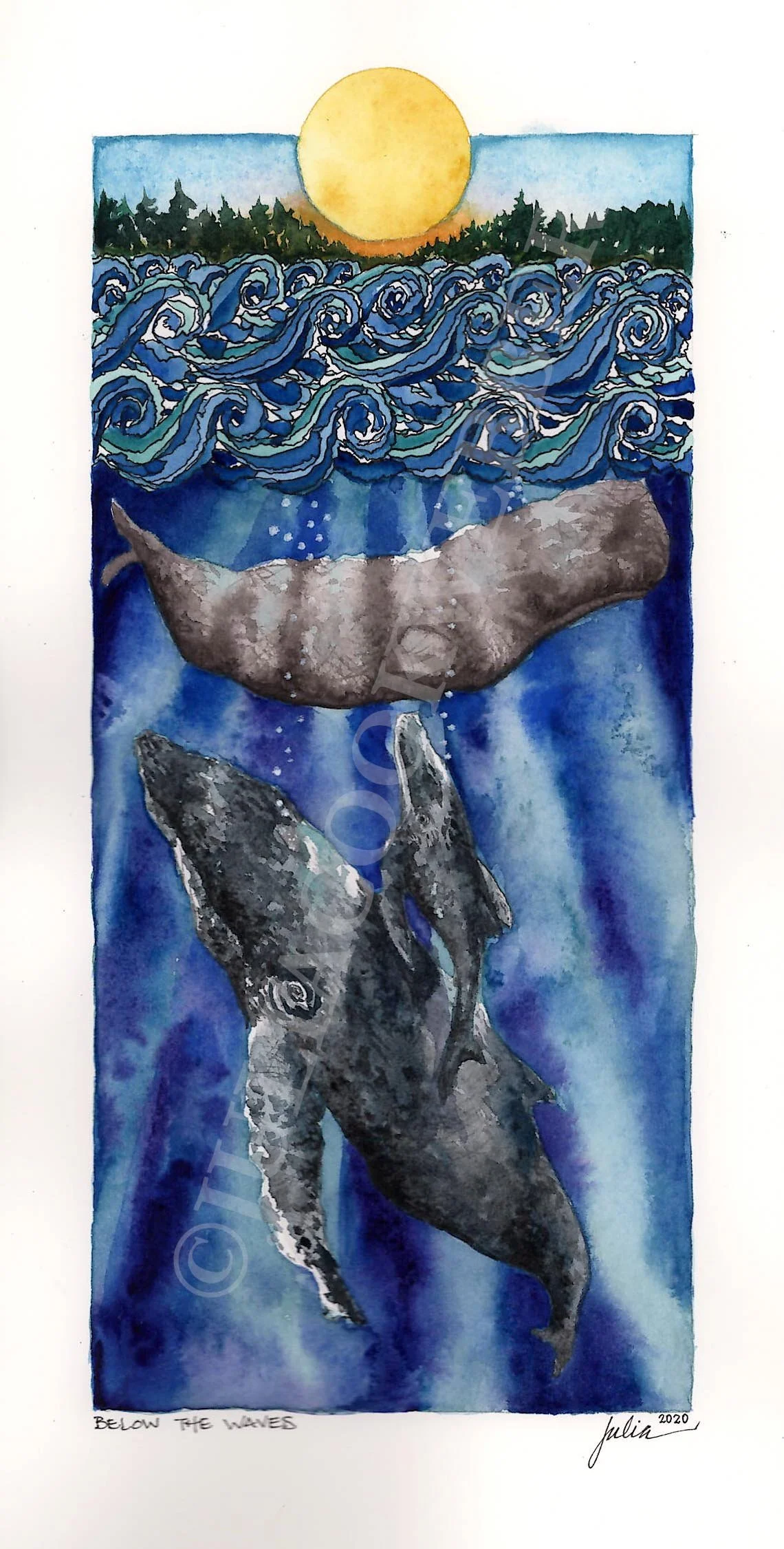 JWEBBER WHALESANDWAVES WEBSITEwm.jpg