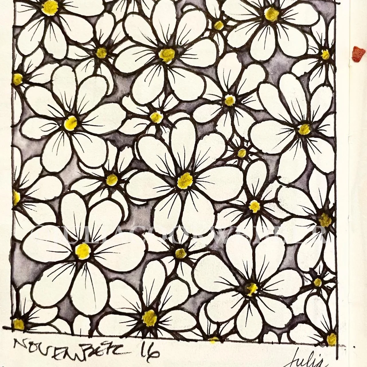 JWEBBER 08sbFLOWERS WEBwm.jpg