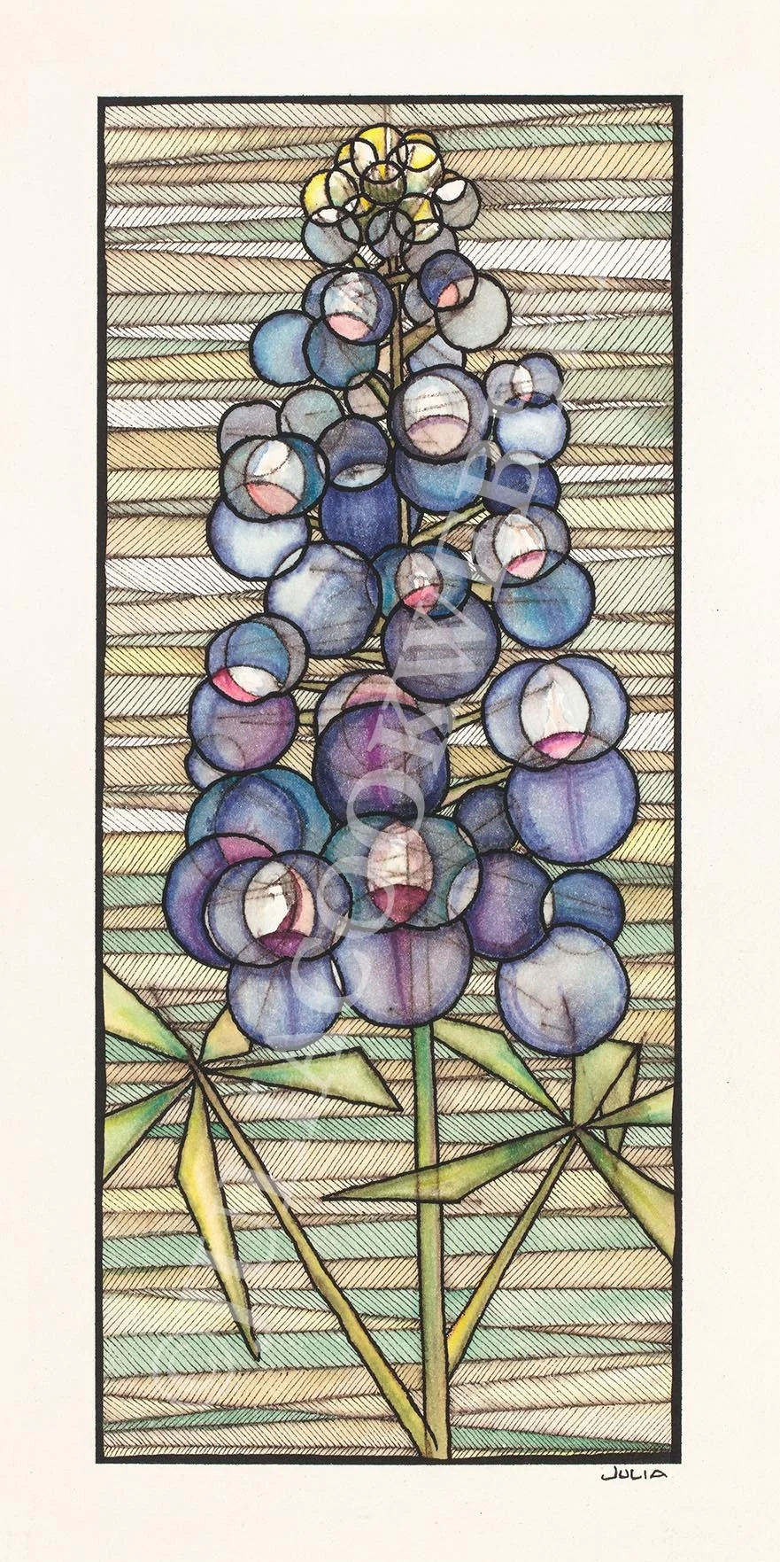 JWEBBER BLUEBONNETGREOMETRY WEBSITEwm.jpg