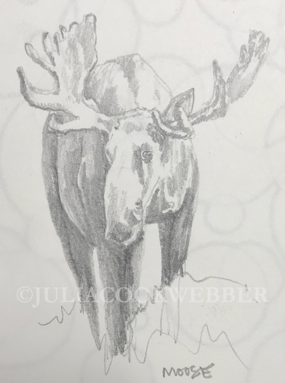 JWEBBER sbMOOSE WEBSITEwm.jpg