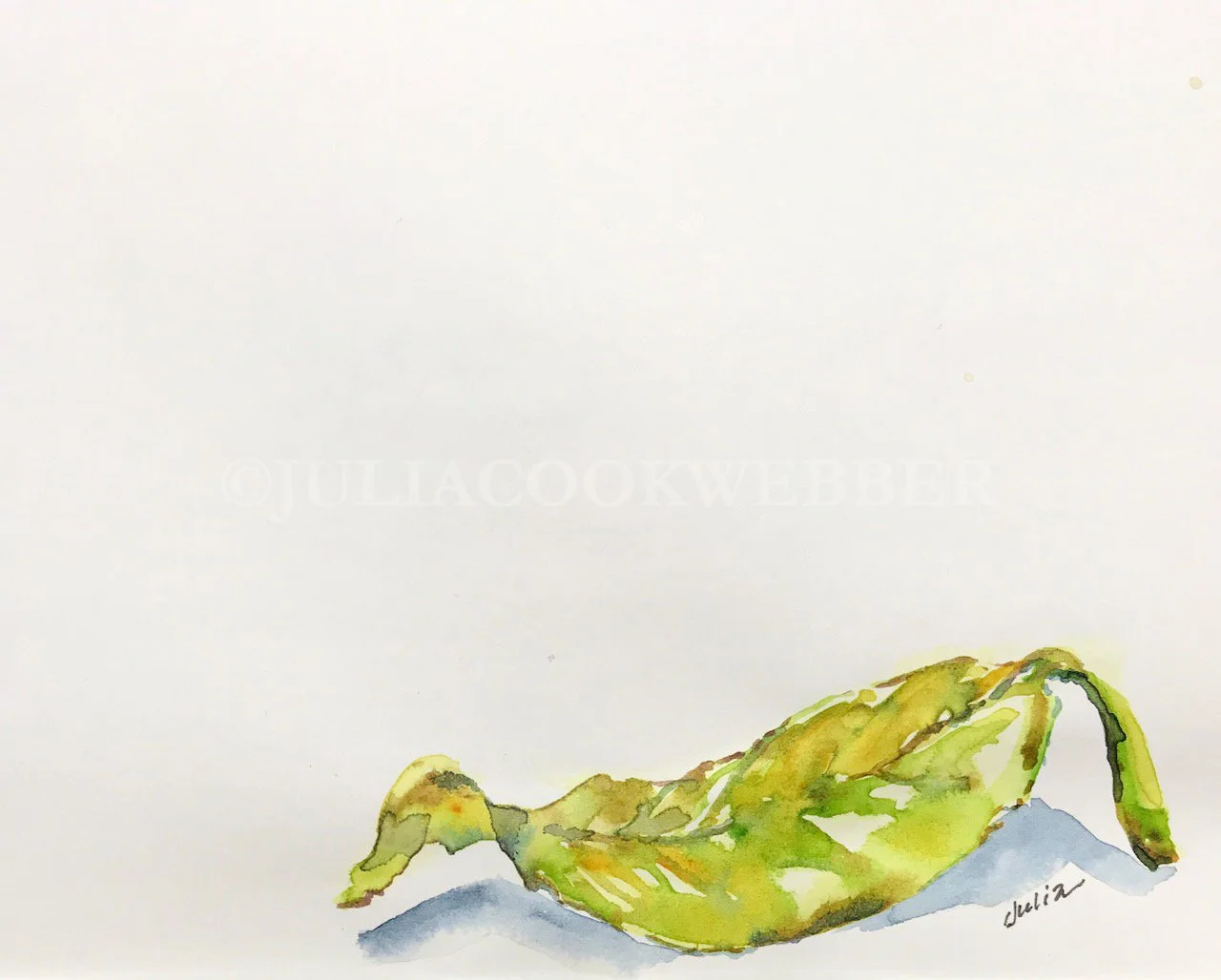 JWEBBER SOLITARYLEAF WEBwm.jpg