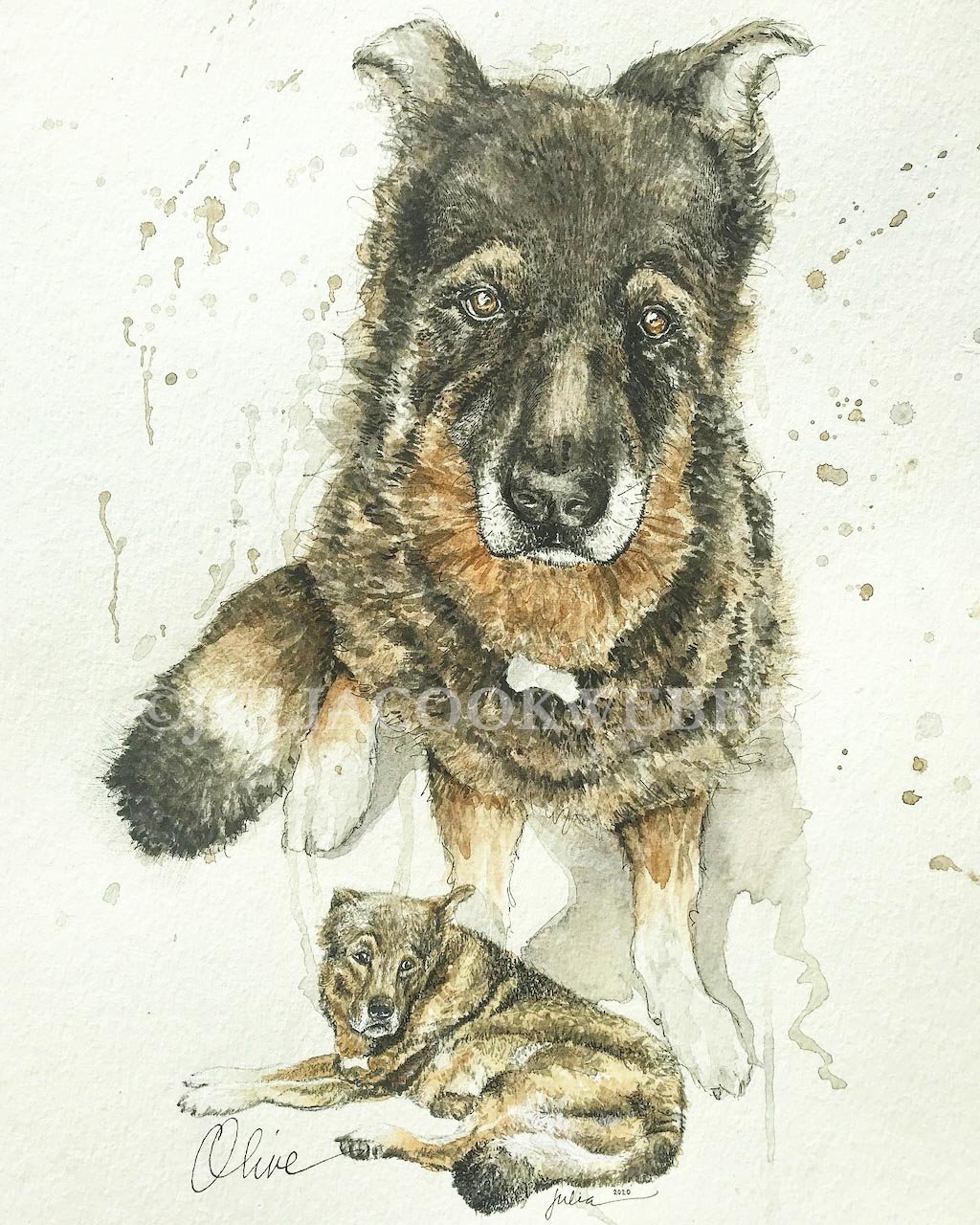 JWEBBER 2019SWEETOLIVEFORPHIL WEBSITEwm.jpg