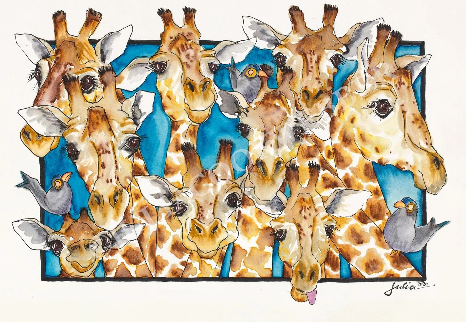 JWEBBER Giraffes Galore WEBSITEwm.jpg