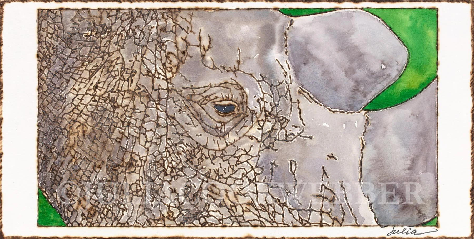 JWEBBER Small Pyrography Rhino WEBSITEwm.jpg