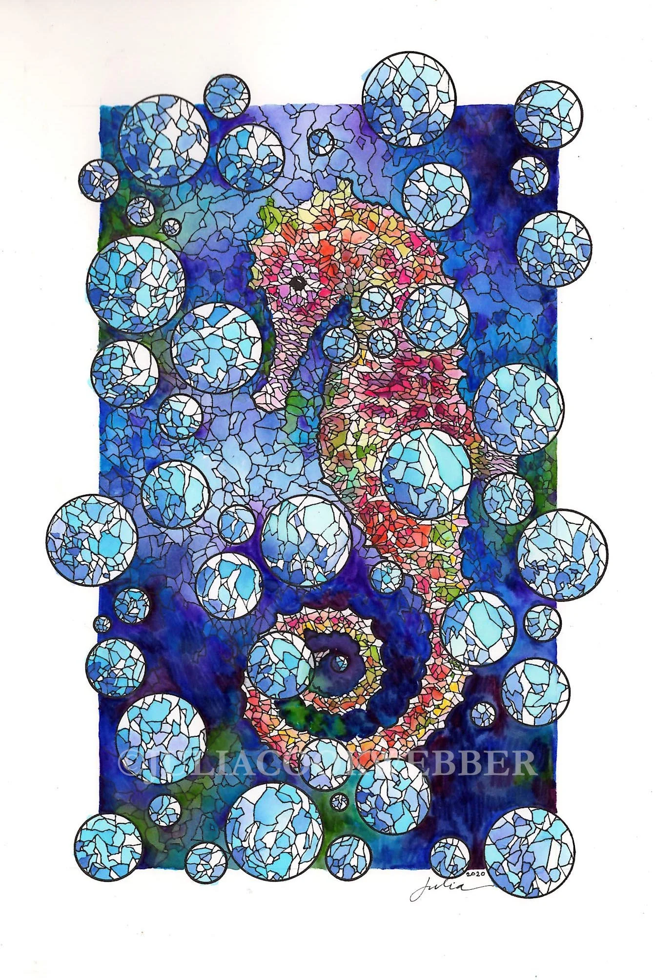 JWEBBER SEAHORSE WEBSITEwm.jpg