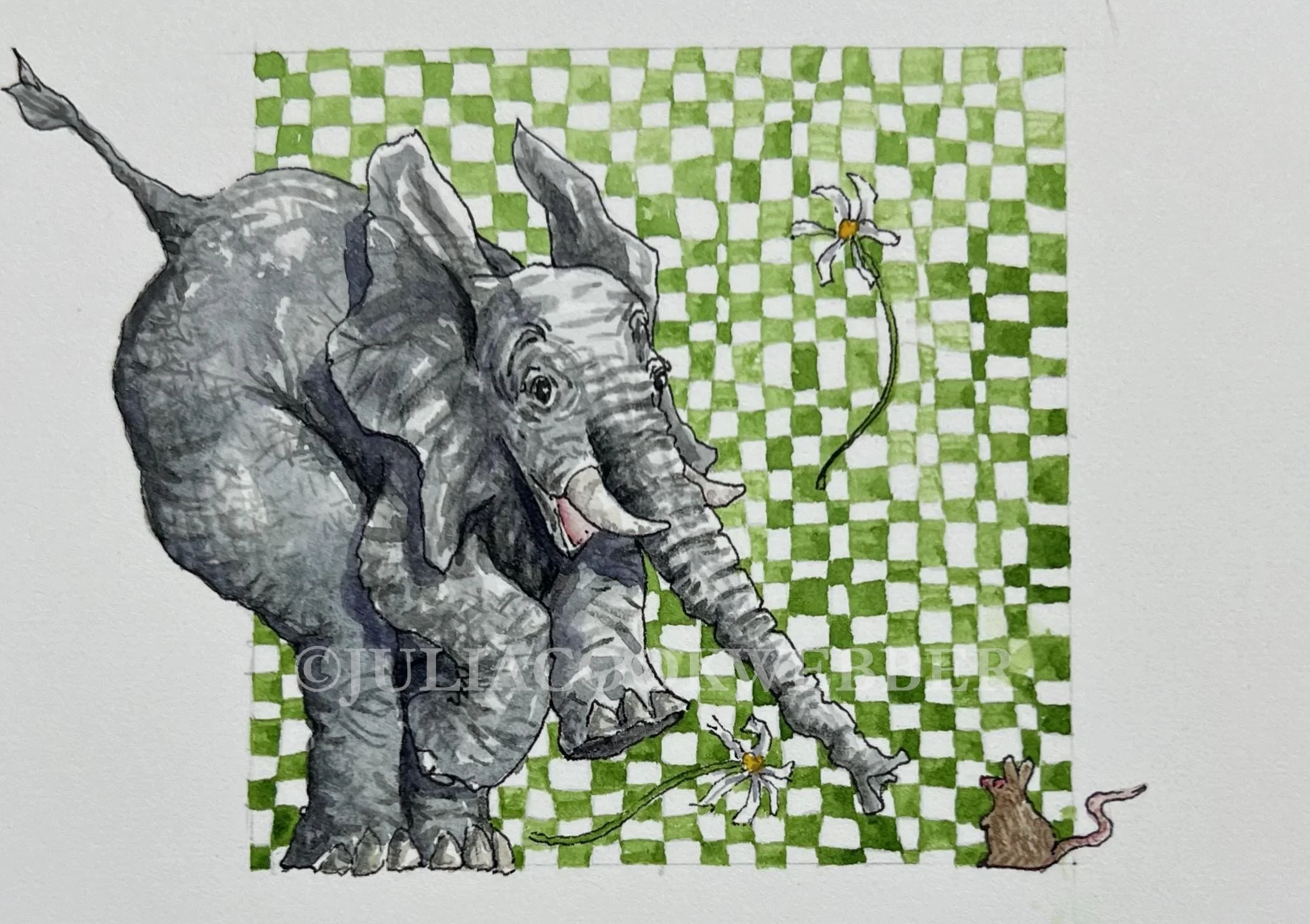 JWEBBER TYLB09 WEBSITEwm.jpg