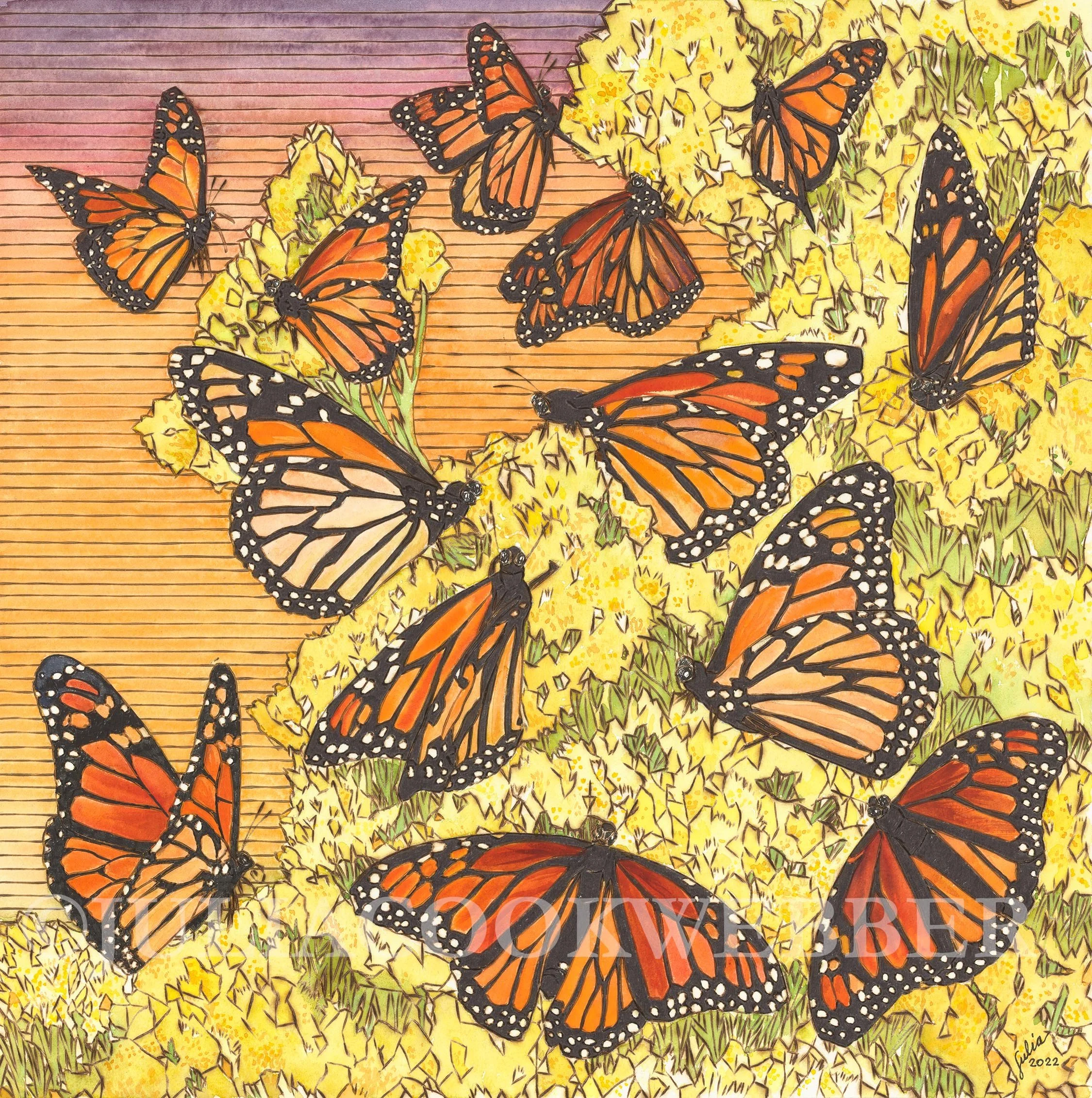 JWEBBER MONARCHS WEBSITEwm.jpg