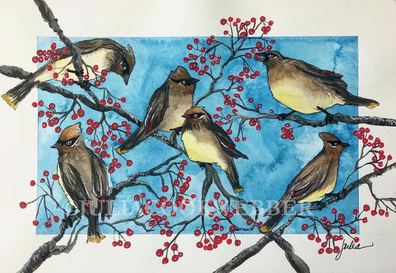 JWEBBER CEDARWAXWINGS WEBSITEwm.jpg