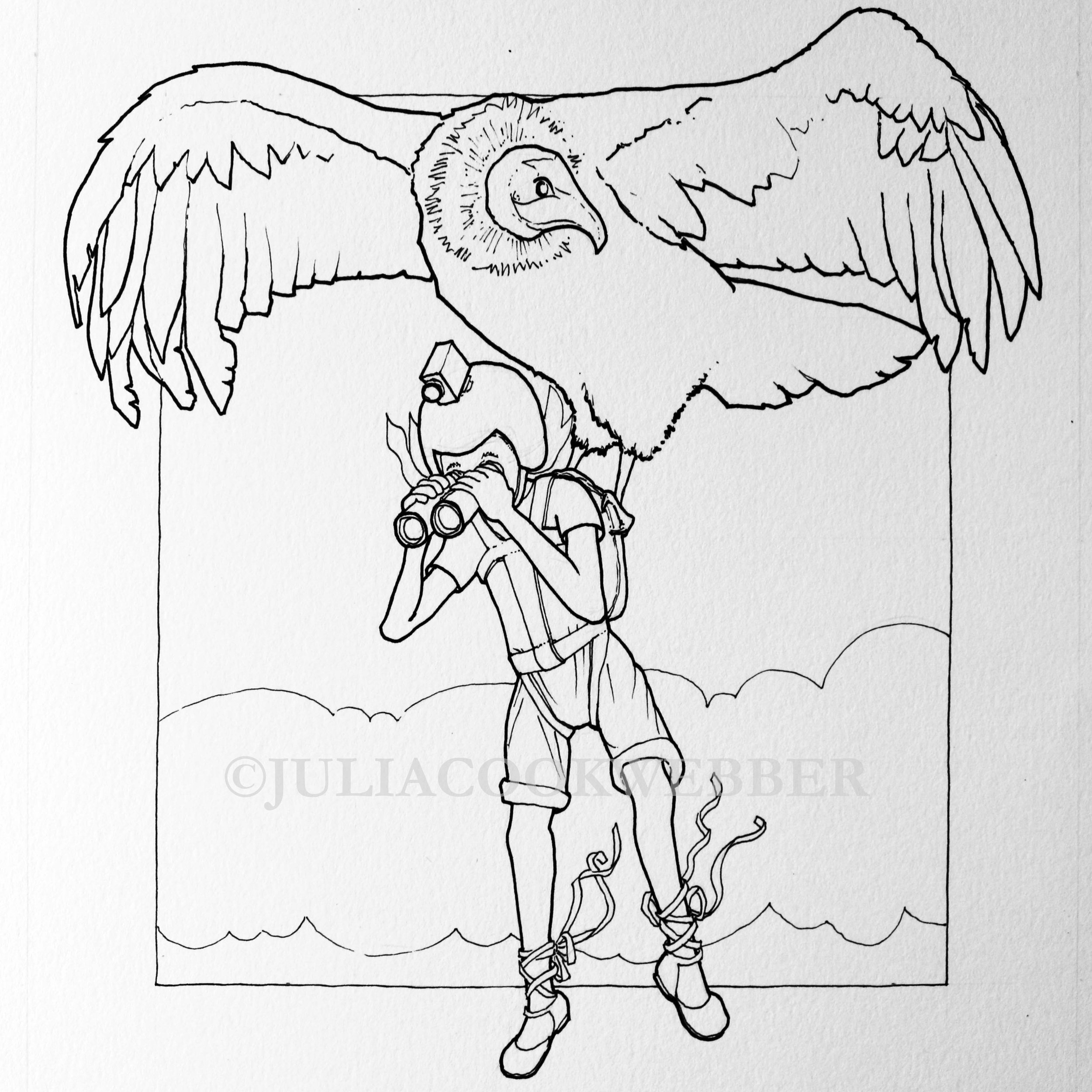 JWEBBER ELIZAJOcondor WEBSITEwm.jpg