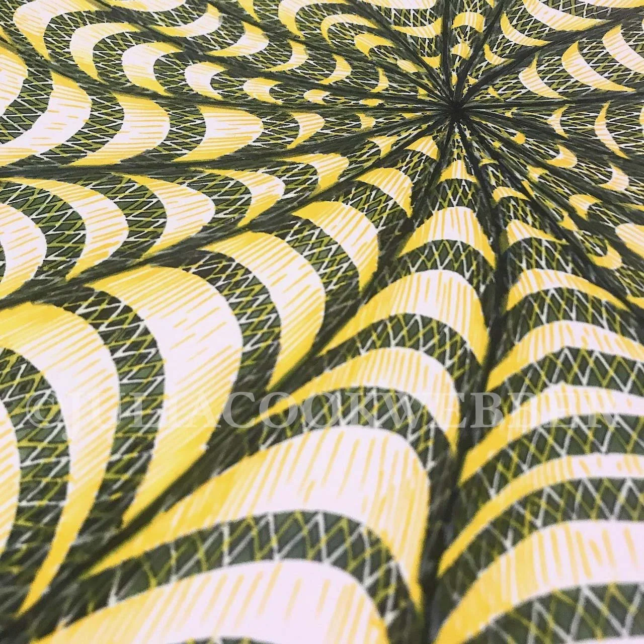 JWEBBER 81ABSTRACT WEBwm.jpg