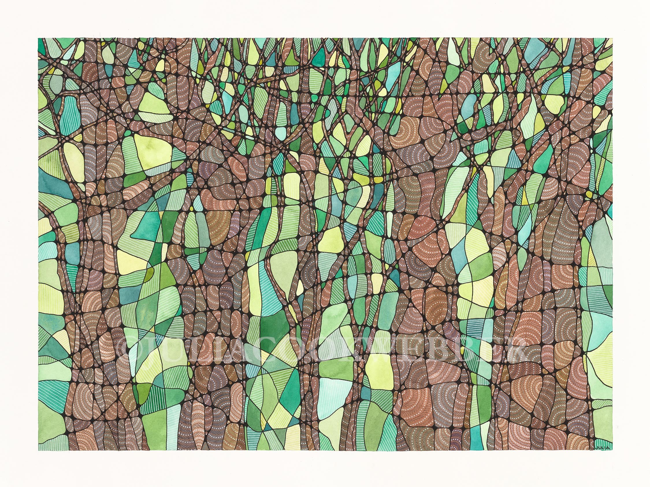 JWEBBER DREAMINGTREES WEBSITEwm.jpg