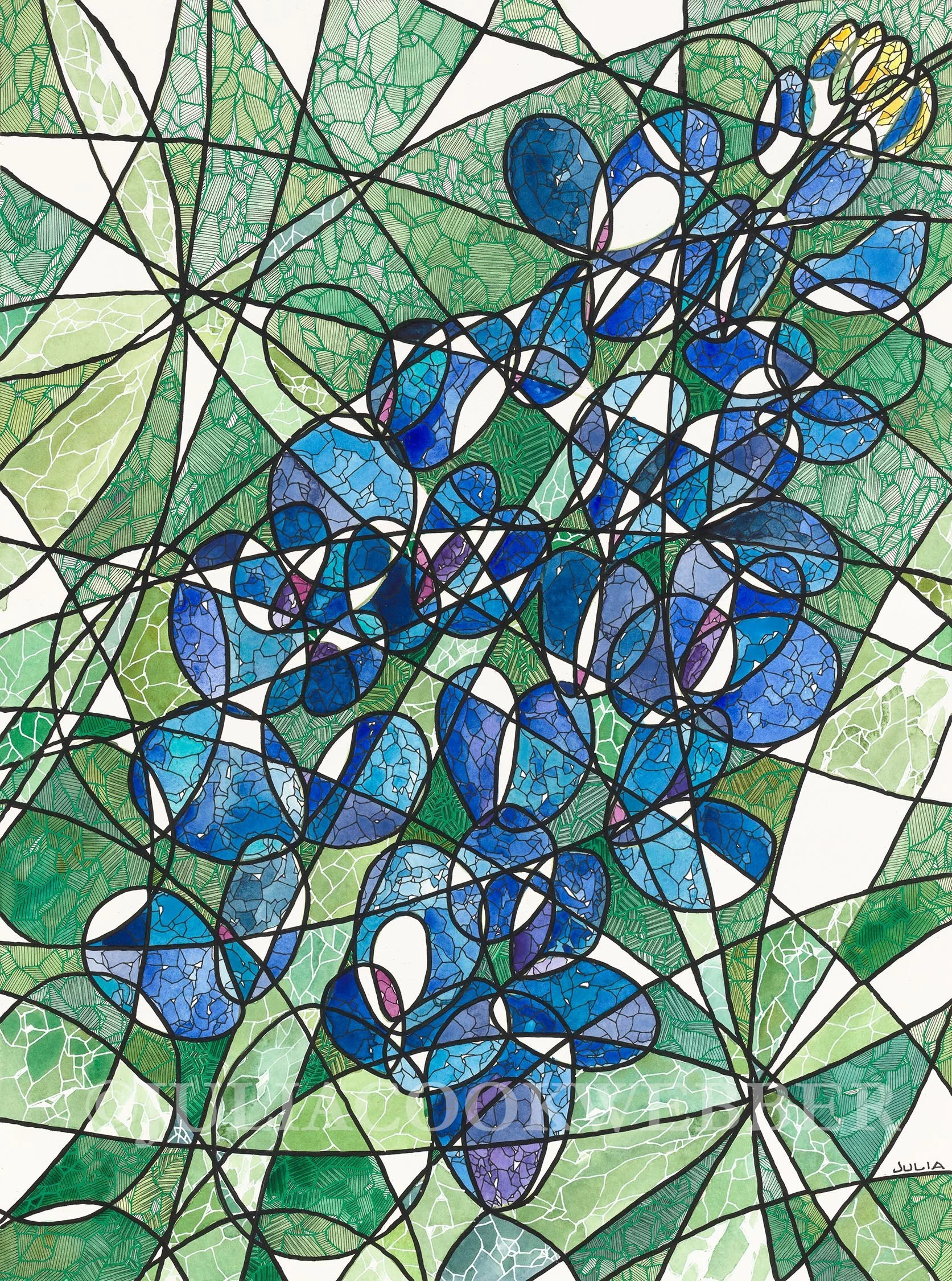 JWEBBER BLUEBONNETABSTRACT WEBSITEwm.jpg