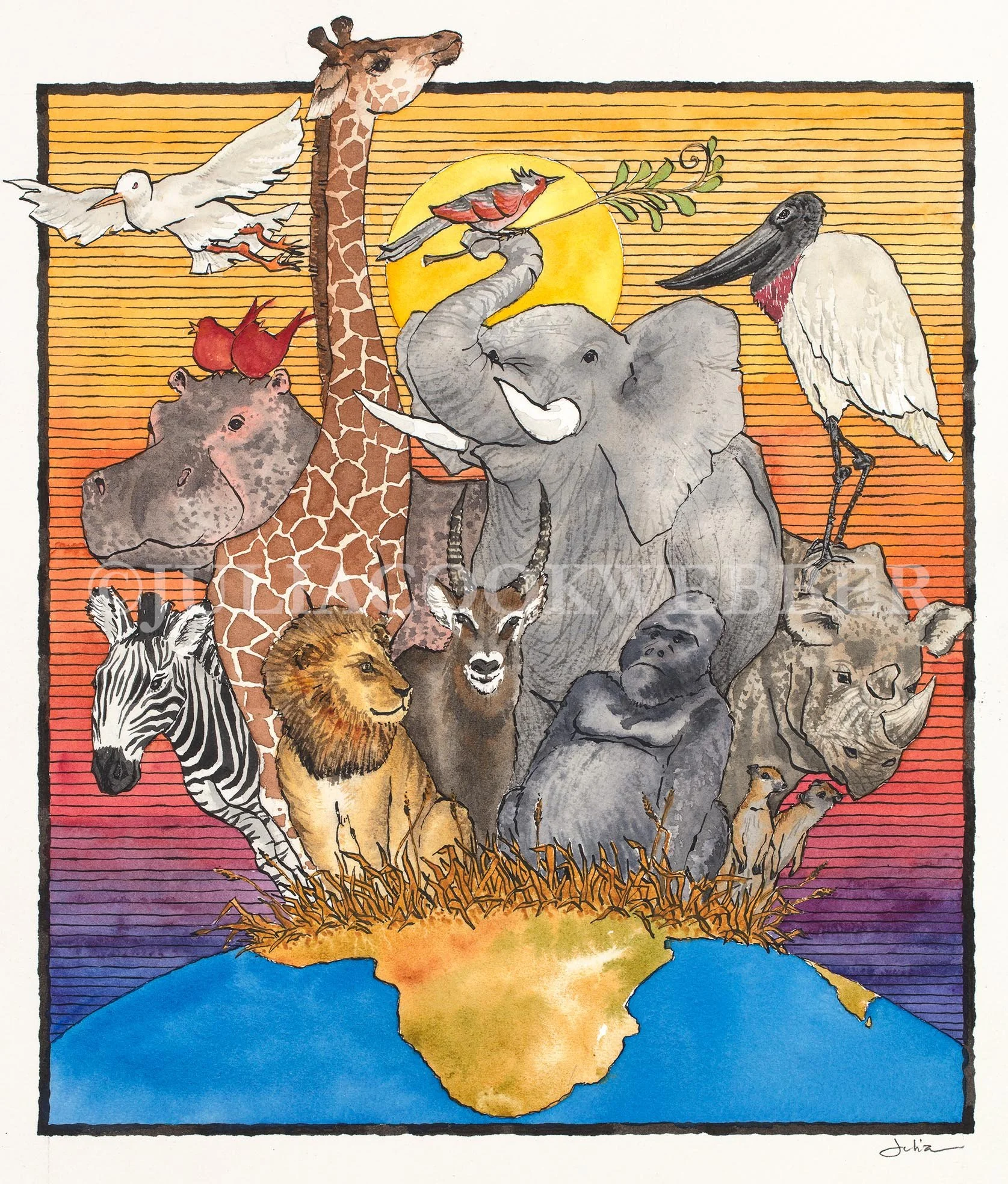 JWEBBER AFRICALOSINGGROUND WEBSITEwm.jpg