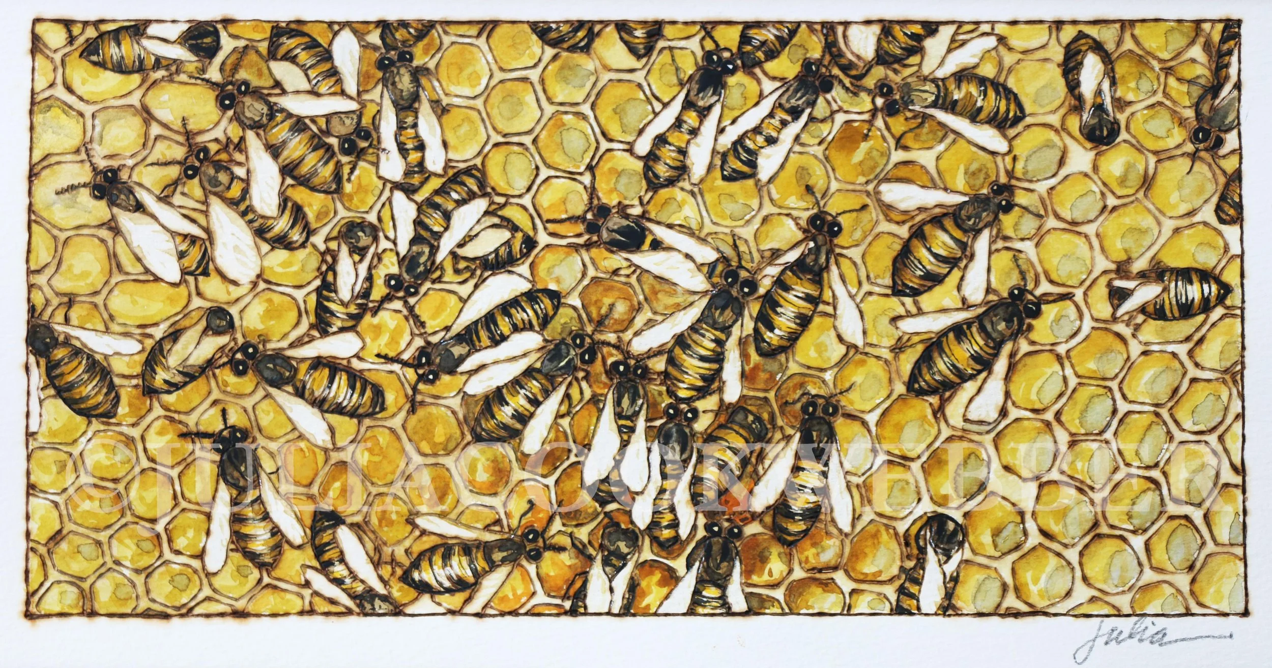 JWEBBER HIVE WEBSITEwm.jpg